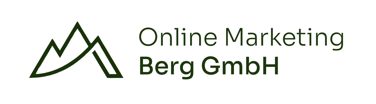 Online Marketing Berg GmbH