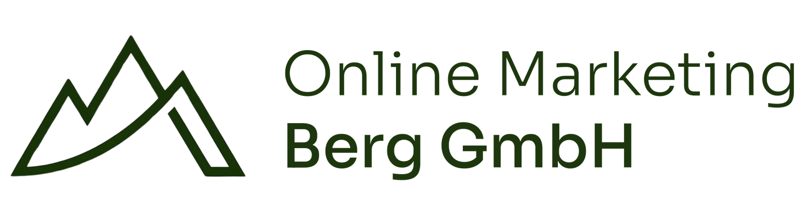 Online Marketing Berg GmbH